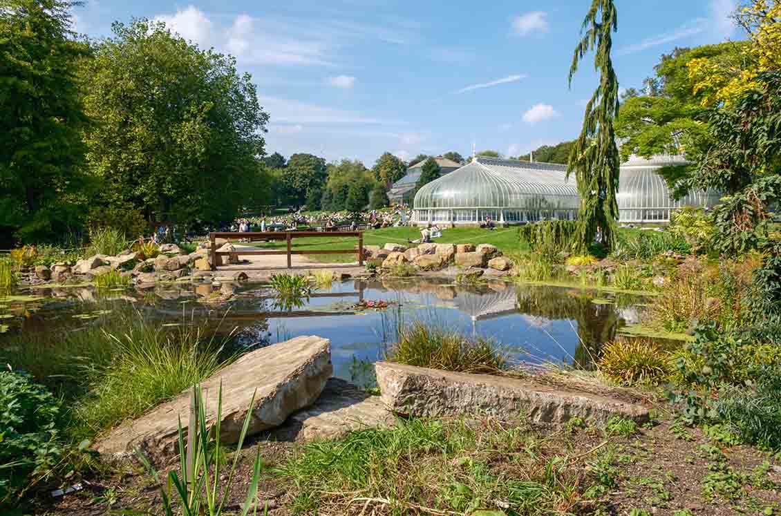 Glasgow Botanic Gardens: A Green Sanctuary in the Heart of the City